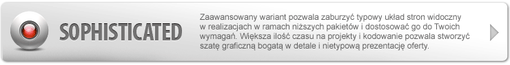 sklep o wyglądzie w pełni dostosowanym do Twojego asortymentu