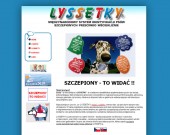 Casestudy Lyssetky - Wyglą
d sklepu Lyssetky.pl w lipcu 2009r.