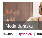 Strona główna - dodatkowe menu wyszukiwania towarów z obsługą grafiki