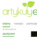 Logo i menu górne - logo i grafikę w nagłówku zmienisz samodzielnie w panelu, tak samo ustalisz linki w poziomym menu