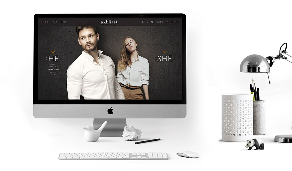 Ecommerce software as a SAAS